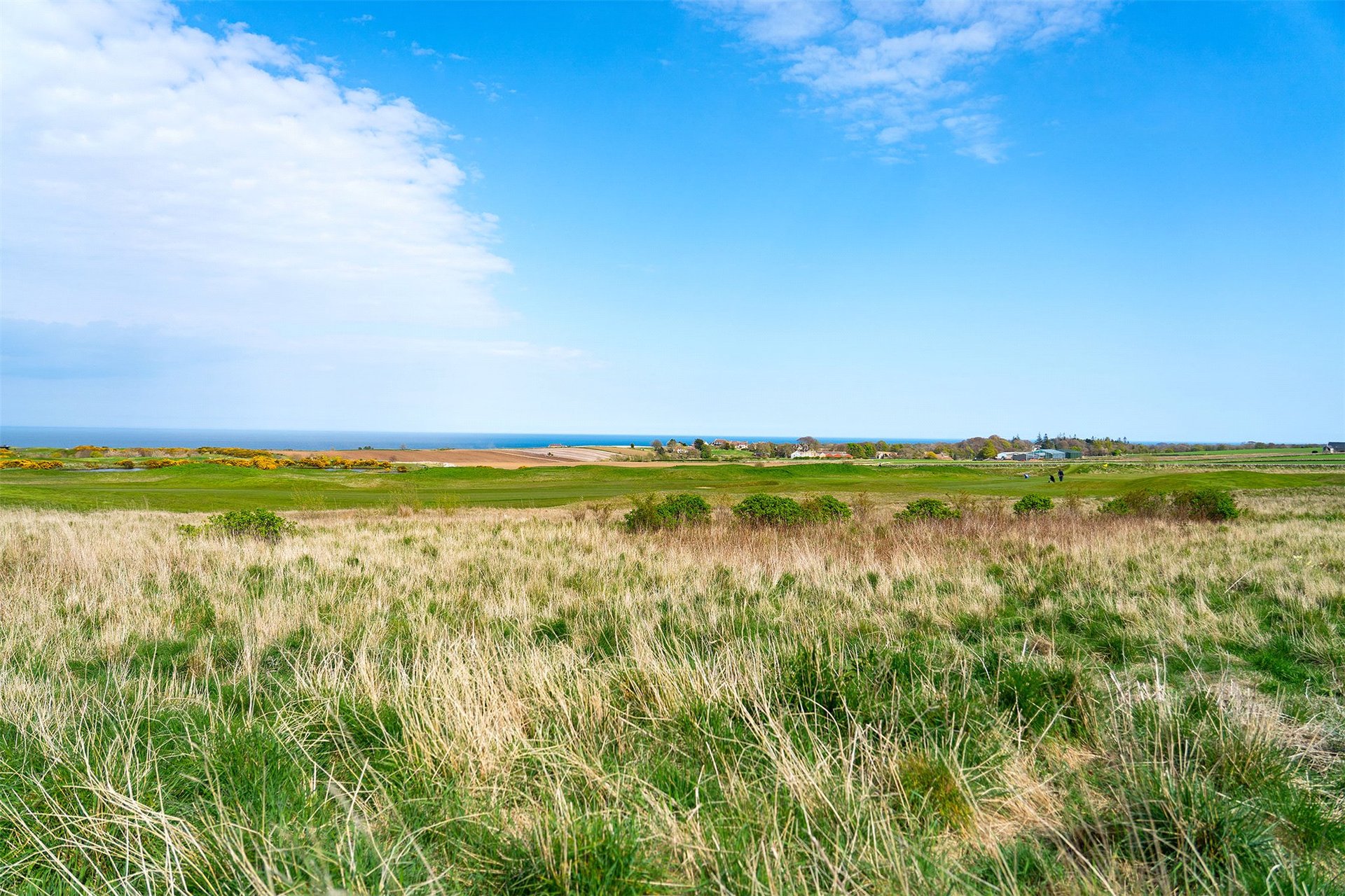 1 South Balmashie, Boarhills, St. Andrews, Fife, KY16 8PN - Picture #25