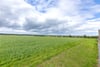 Building Plot West Of The Arches, Reedy Loch, Duns, Berwickshire, TD11 3PS - Picture #6