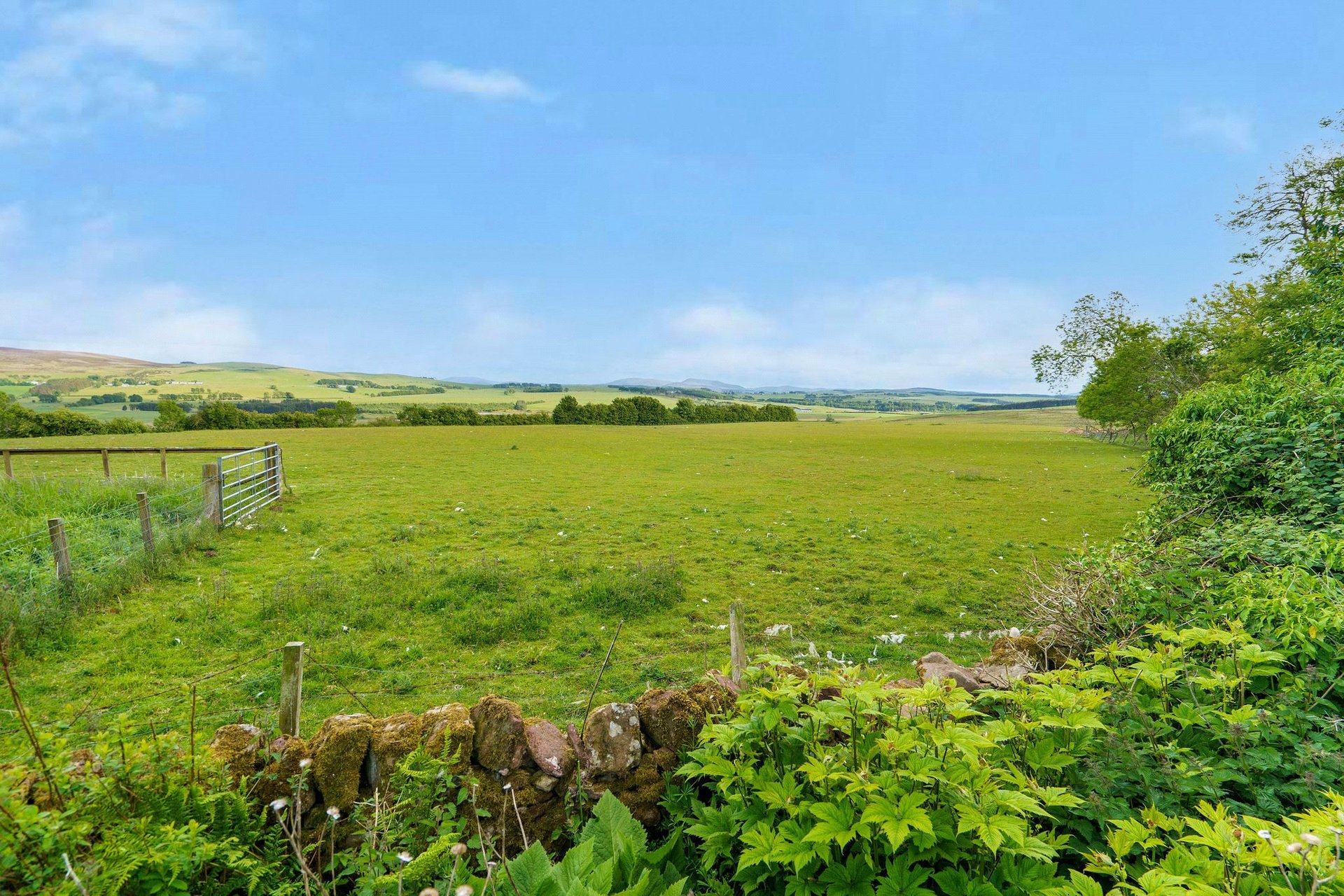 Weston Farmhouse, Dunsyre, Carnwath, Lanark, South Lanarkshire, ML11 8NG - Picture #26