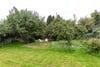 Dalbiac Cottage, Hermitage Lane, Shedden Park Road, Kelso, Scottish Borders, TD5 7AN - Picture #3