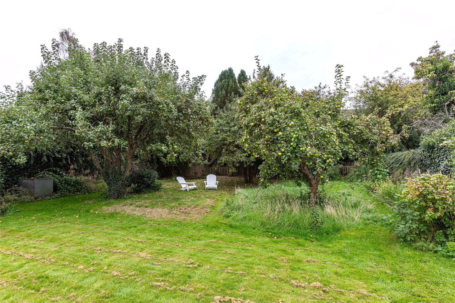 Dalbiac Cottage, Hermitage Lane, Shedden Park Road, Kelso, Scottish Borders, TD5 7AN - Picture #3