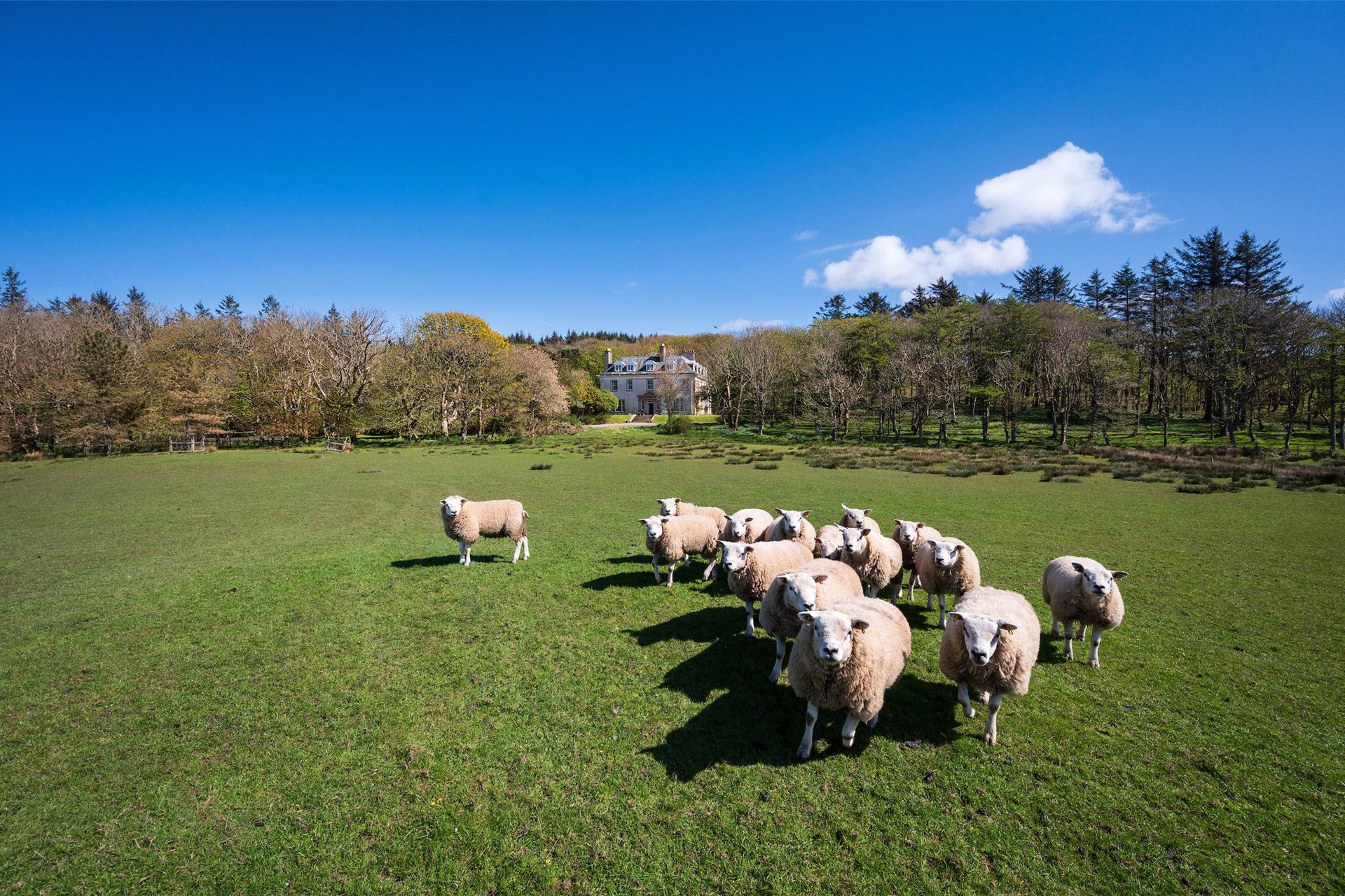 Glencreggan House, Glenbarr, Tarbert, Argyll, PA29 6UT - Picture #27