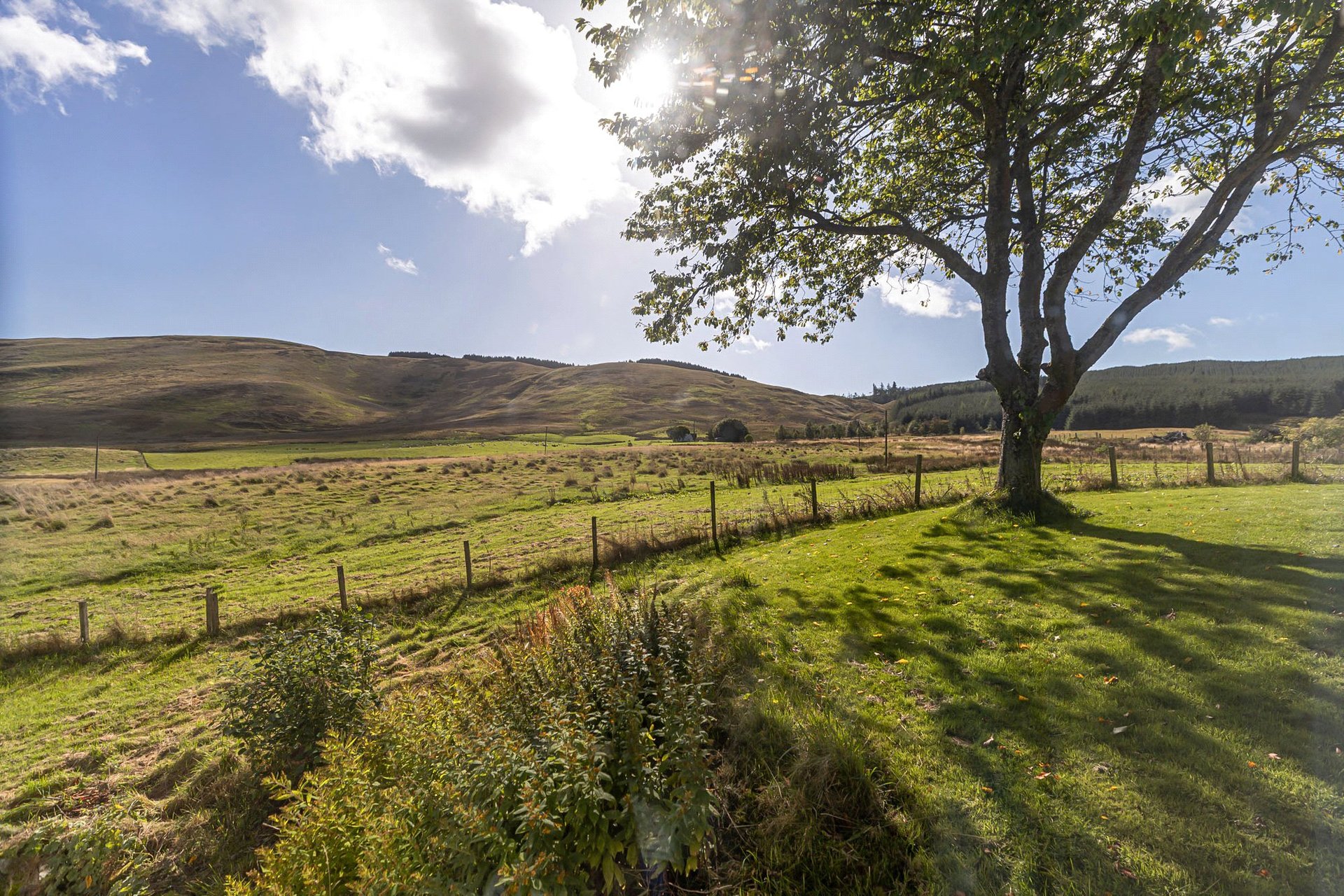 Howgate Farm, Thankerton, Biggar, South Lanarkshire, ML12 6NQ - Picture #50
