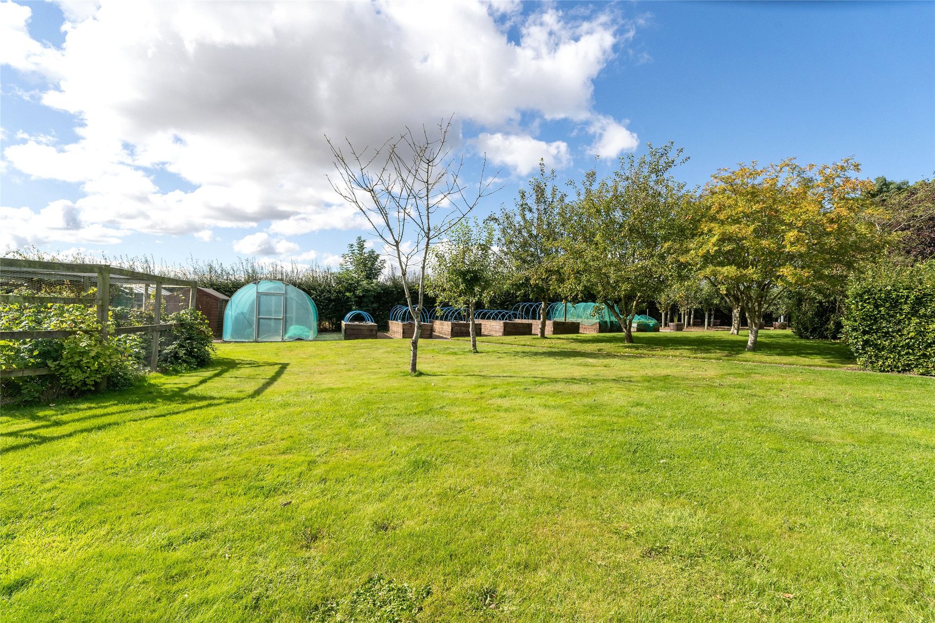 Walled Garden House, Allanbank, Duns, Berwickshire, TD11 3PY - Picture #22