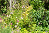 Dunholm, 10 Ladywynd, Kingsbarns, St. Andrews, KY16 8SU - Picture #36