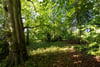Nether Kinneddar House, Saline, Dunfermline, Fife, KY12 9LJ - Picture #21