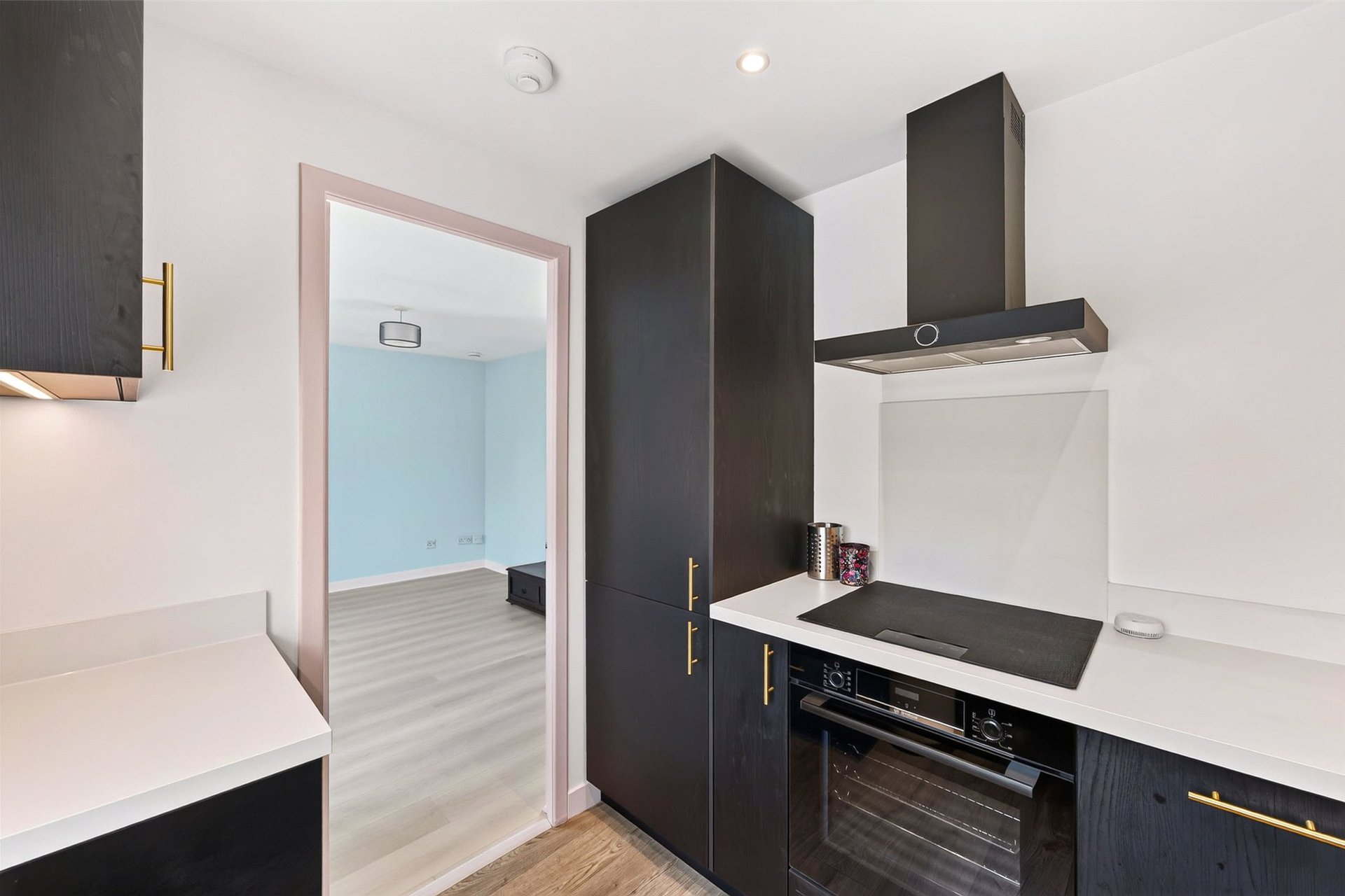 5/6 Ettrickdale Place, Edinburgh, Midlothian, EH3 5JN - Picture #7