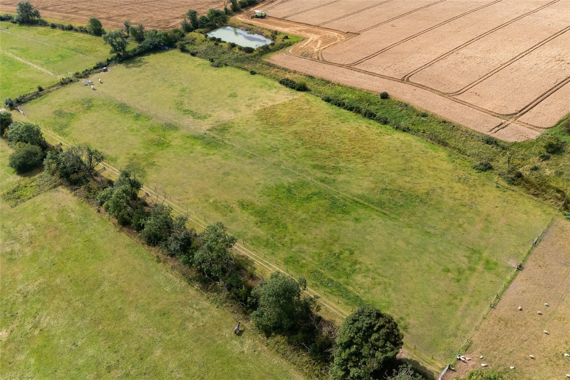 Grazing and Equestrian Facilities, The Bungalow, Baldastard, Leven, KY8 5PQ - Picture #5