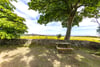 Homefield, Eyemouth Road, Coldingham, Berwickshire, TD14 5PY - Picture #25