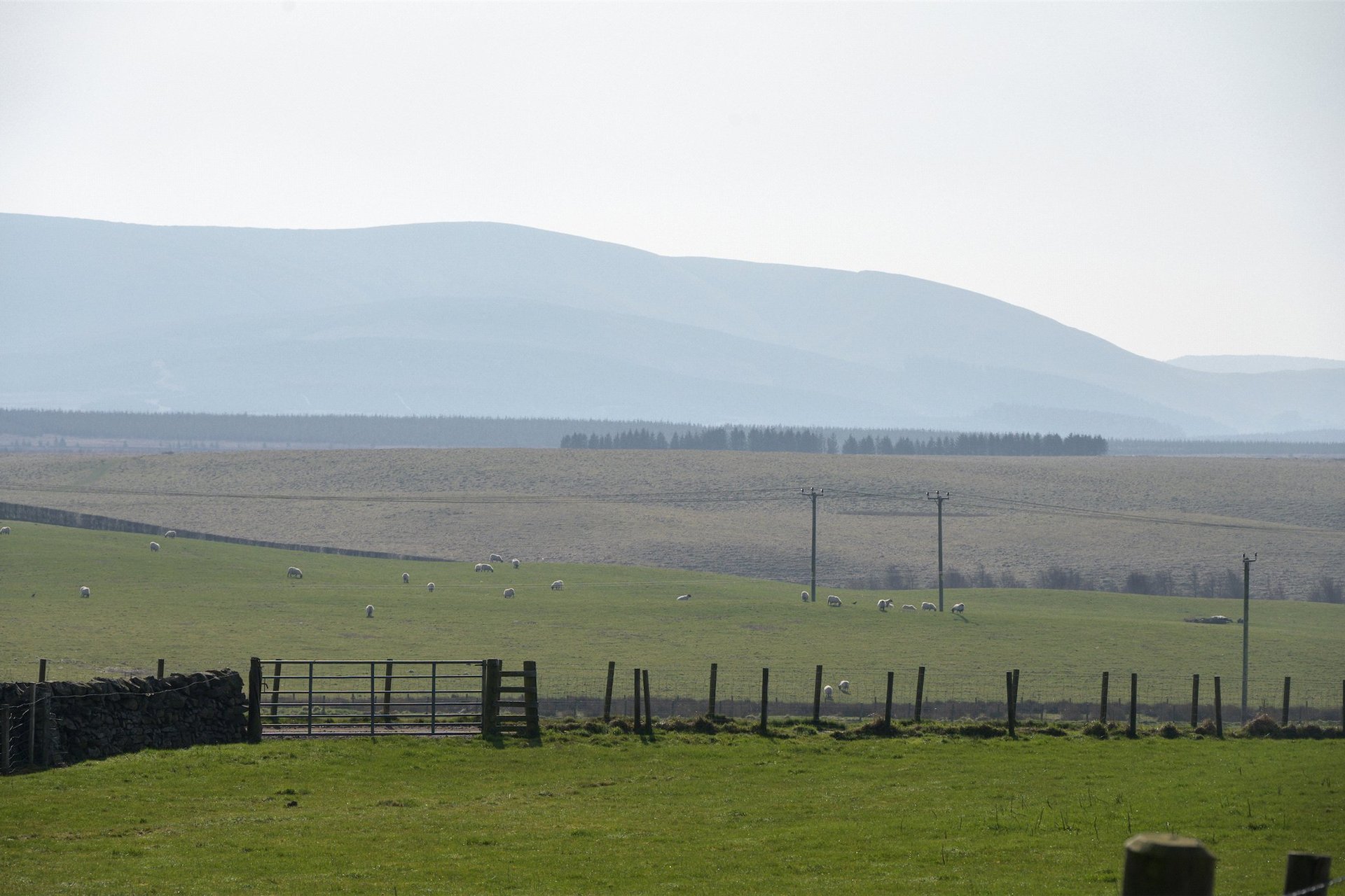 Barn 2, Kingswood, Leadburn, Scottish Borders, EH46 7BW - Picture #6
