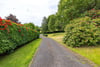 Willow Brae, Lanton Road, Jedburgh, Scottish Borders, TD8 6RZ - Picture #41