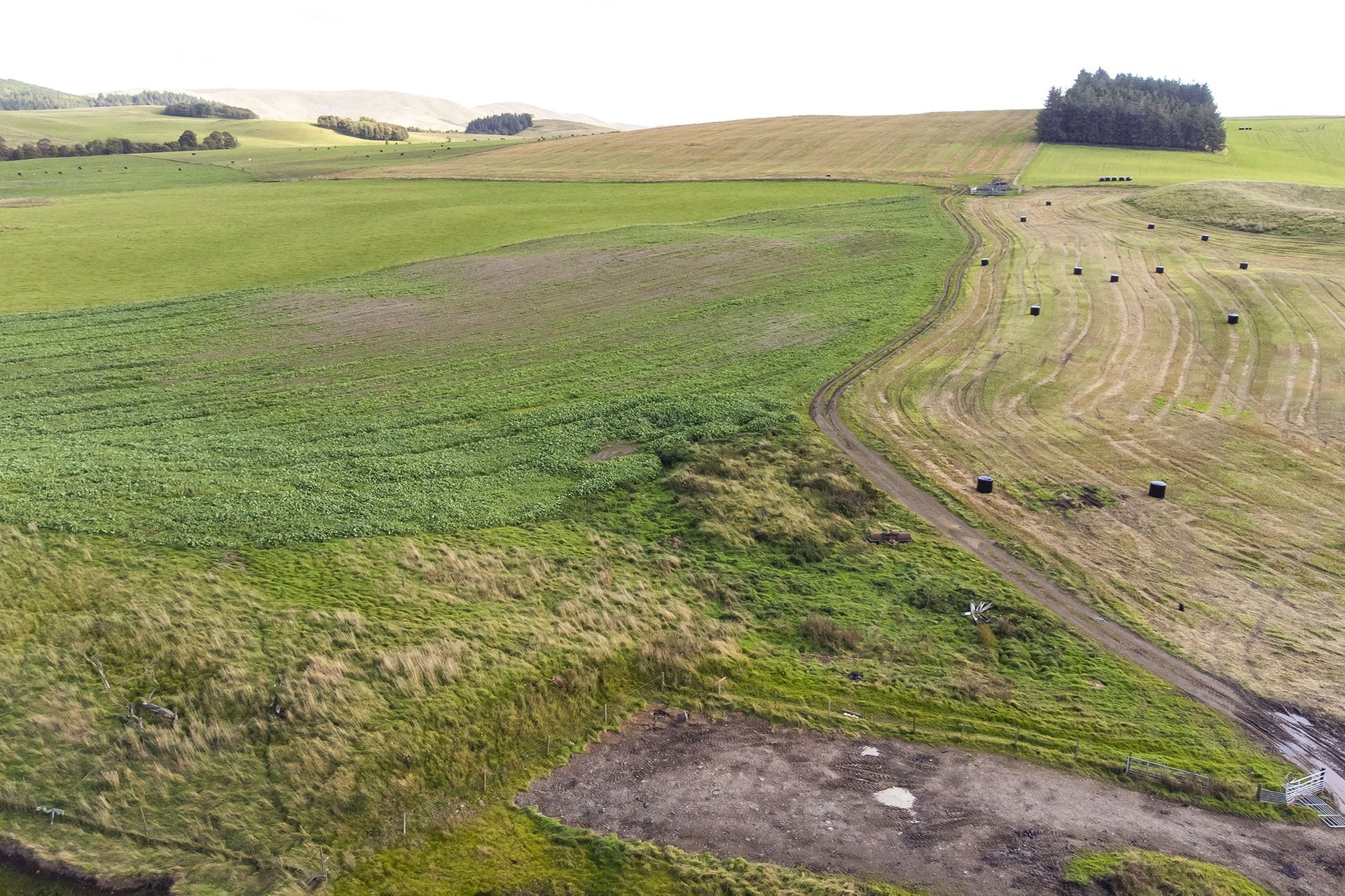 Candyburn Farm, Biggar, South Lanarkshire, ML12 6QY - Picture #3