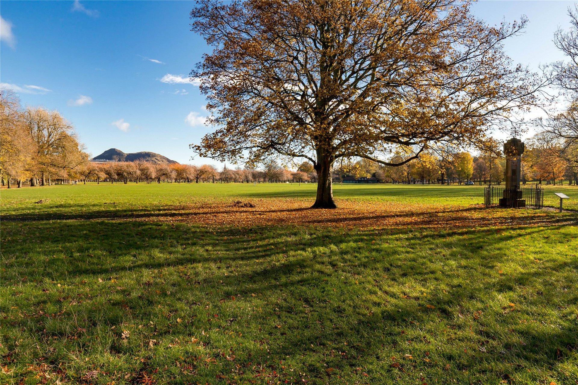 10 (3F2), Brougham Place, Edinburgh, EH3 9HW - Picture #19