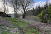Dogcraig Cottage, Scotsmill, Peebles, Scottish Borders, EH45 9HS - Picture #22