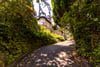 Main Door, 11a Horselethill Road, Dowanhill, Glasgow, G12 9LX - Picture #3