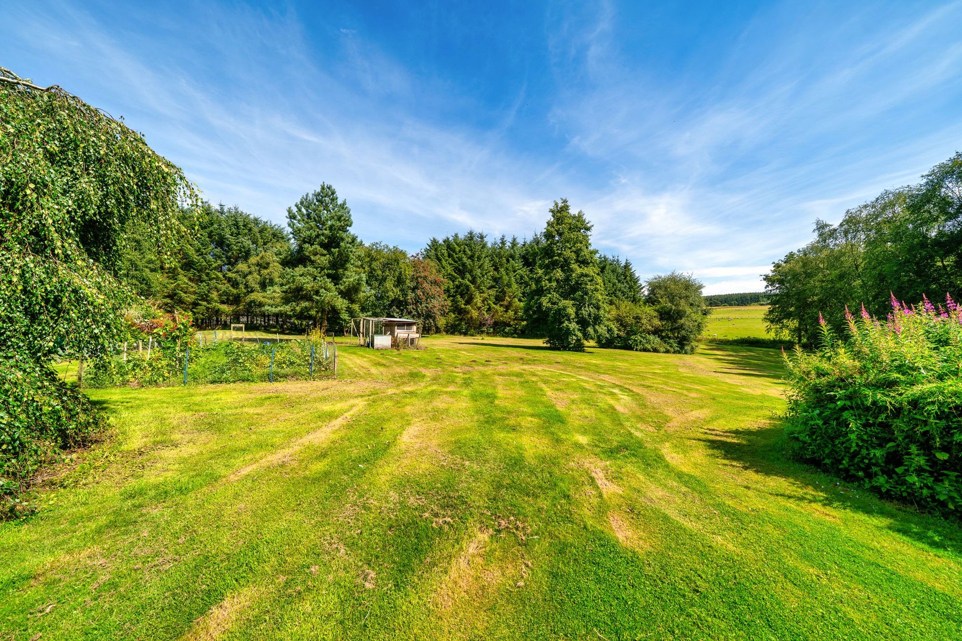 Bowmuir Lodge, Libberton, Carnwath, Lanark, South Lanarkshire, ML11 8LX - Picture #41