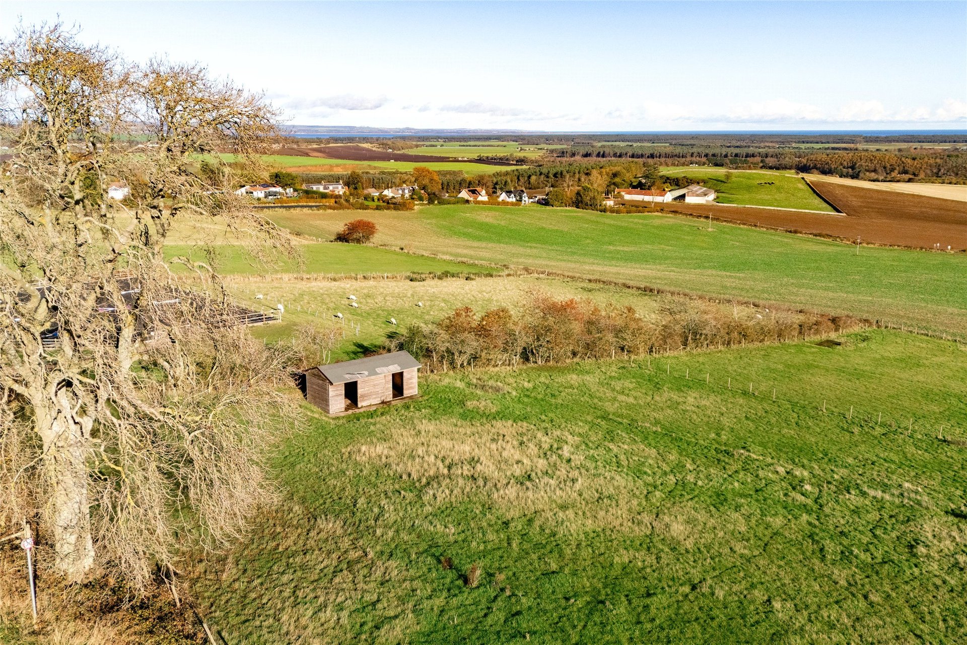 Grazing Field, Lucklawhill, Balmullo, St. Andrews, Fife, KY16 0BQ - Picture #8