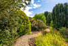 Clydegrove House, Clyde Grove, Crossford, Carluke, South Lanarkshire, ML8 5WN - Picture #52