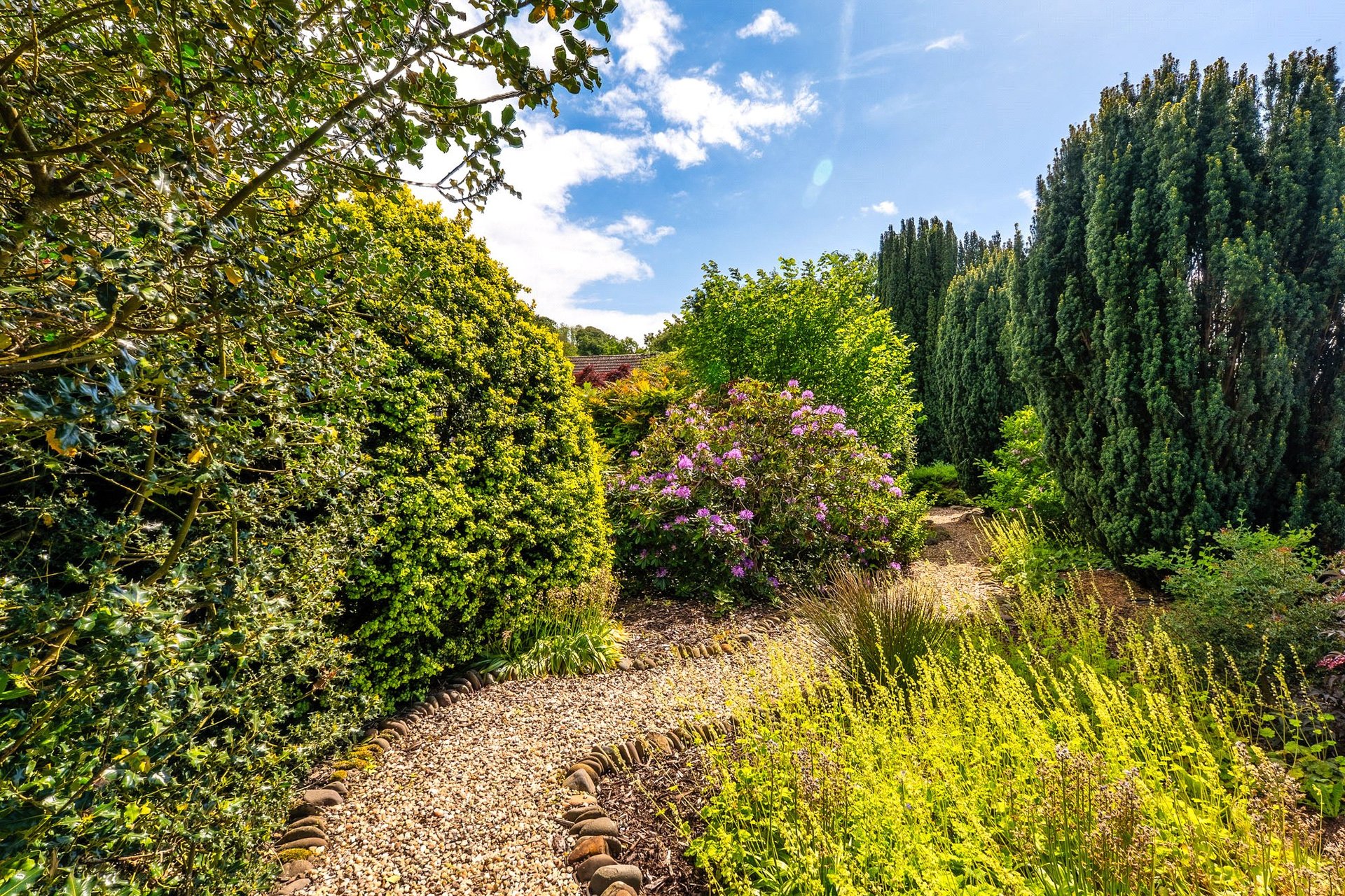 Clydegrove House, Clyde Grove, Crossford, Carluke, South Lanarkshire, ML8 5WN - Picture #52
