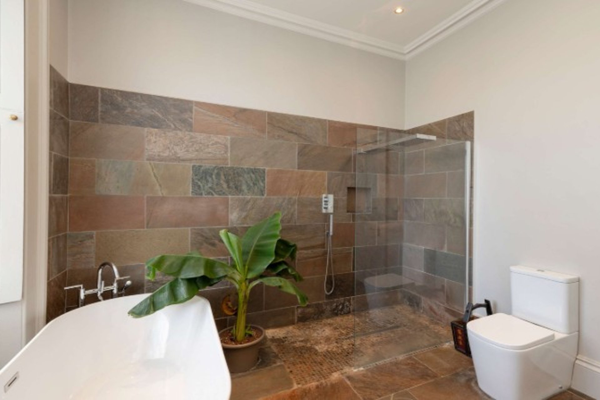 1 Saxe Coburg Place, Stockbridge, Edinburgh, EH3 5BP - Picture #7