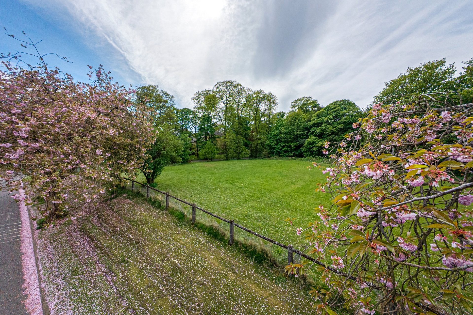 37 Burnbrae Avenue, Bearsden, G61 3ET - Picture #35