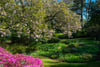 Culbuie House, Culbowie Road, Buchlyvie, Stirling, Stirlingshire, FK8 3NY - Picture #30