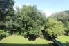1/2, 1768 Great Western Road, Glasgow, G13 2TL - Picture #16