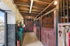 Allerly Mains, Gattonside, Melrose, Scottish Borders, TD6 9LT - Picture #32