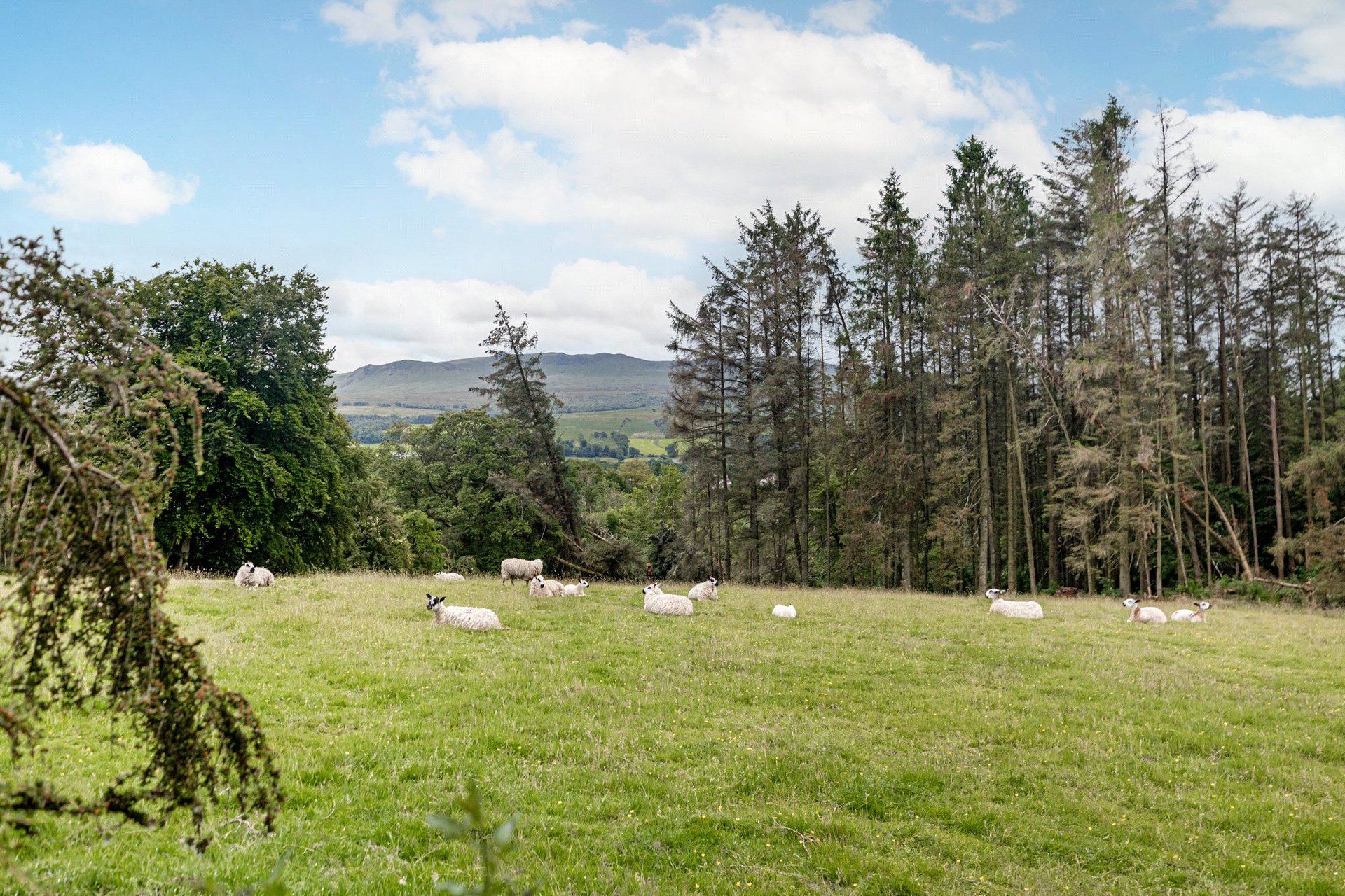 Drumtochty, Station Road, Balfron, G63 0SX - Picture #51