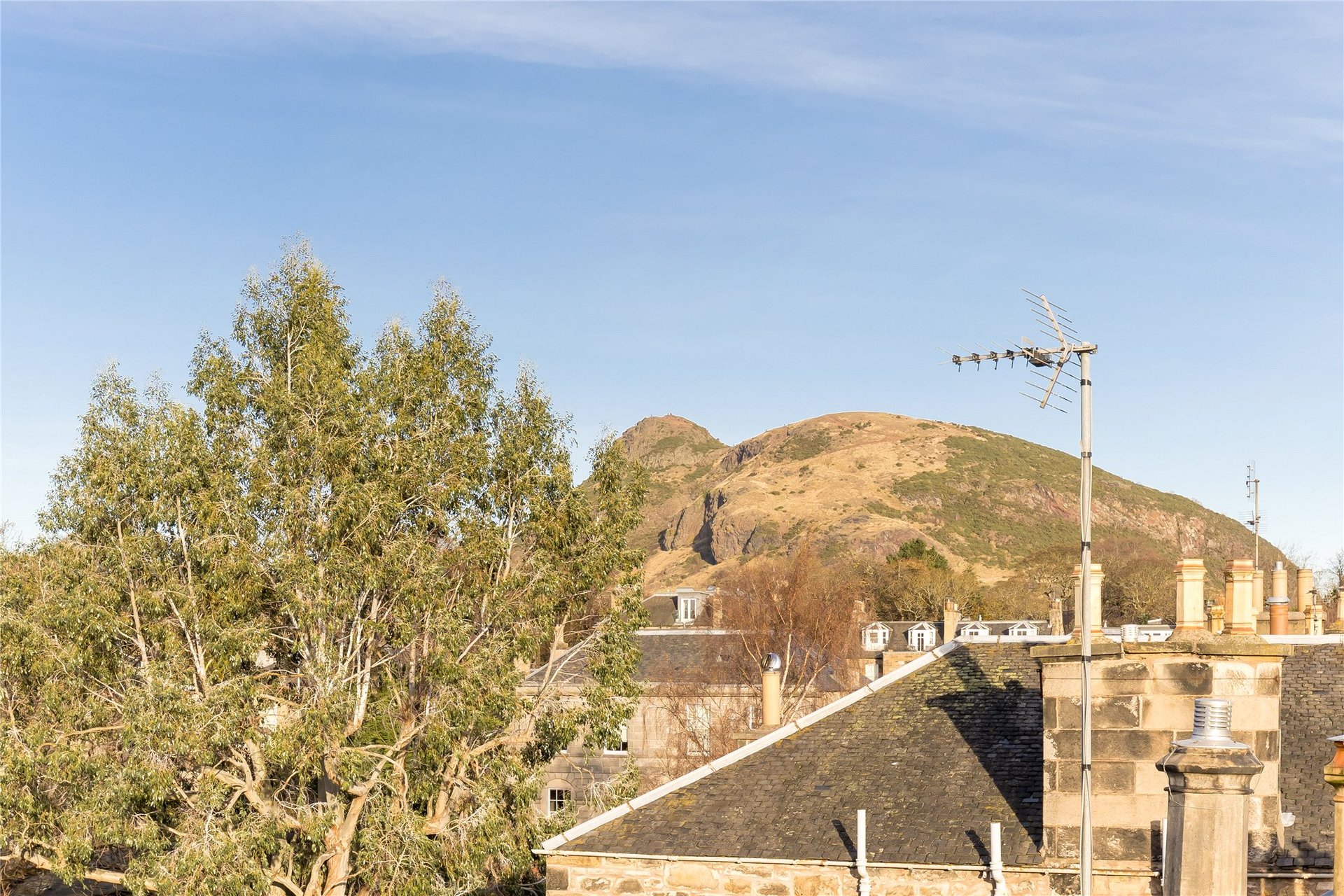 19/9 South Gray Street, Newington, Edinburgh, EH9 1TE - Picture #16