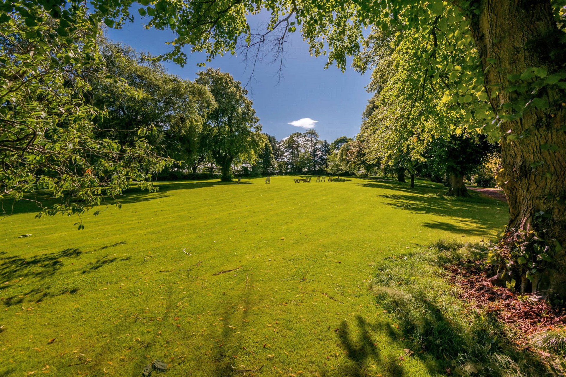 GF, 5 Belgrave Crescent, Edinburgh, EH4 3AQ - Picture #24