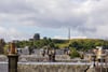 35 Gilmour Road, Edinburgh, EH16 5NS - Picture #29