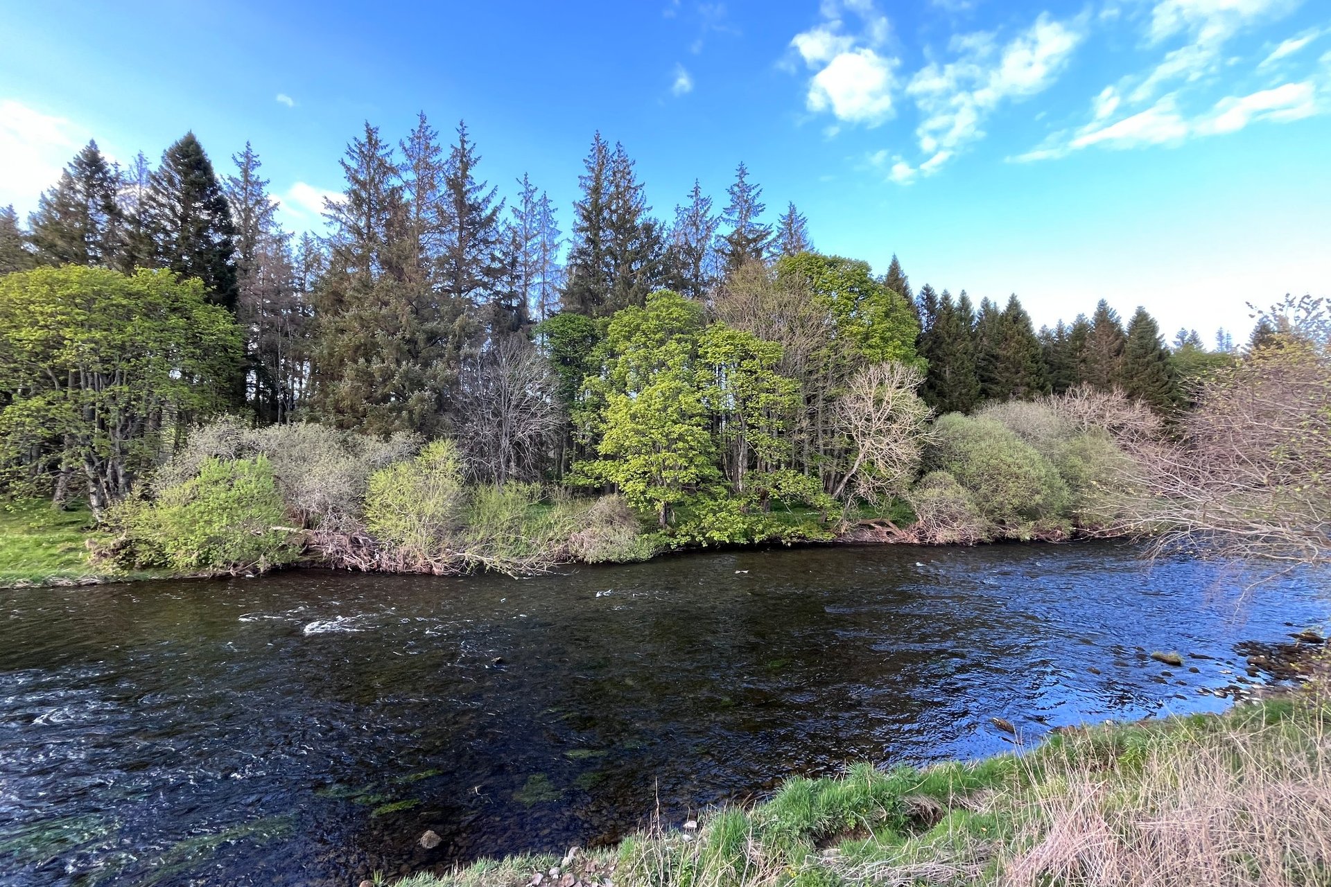 Dogcraig Cottage, Scotsmill, Peebles, Scottish Borders, EH45 9HS - Picture #23