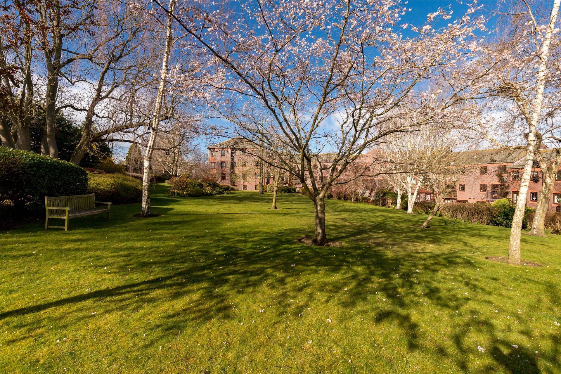 63 Orchard Brae Avenue, Edinburgh, Midlothian, EH4 2UR - Picture #27