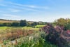 Burnbrae Holidays, Nenthorn, Kelso, Scottish Borders, TD5 7RY - Picture #43