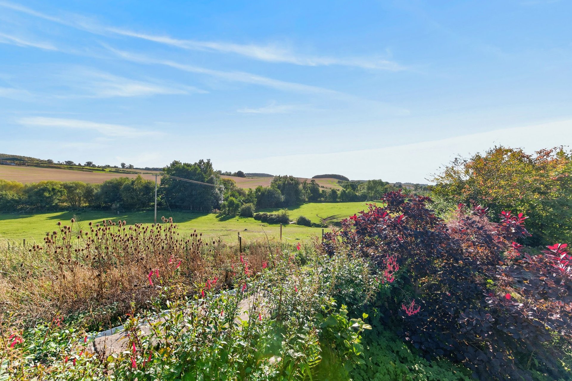 Burnbrae Holidays, Nenthorn, Kelso, Scottish Borders, TD5 7RY - Picture #43