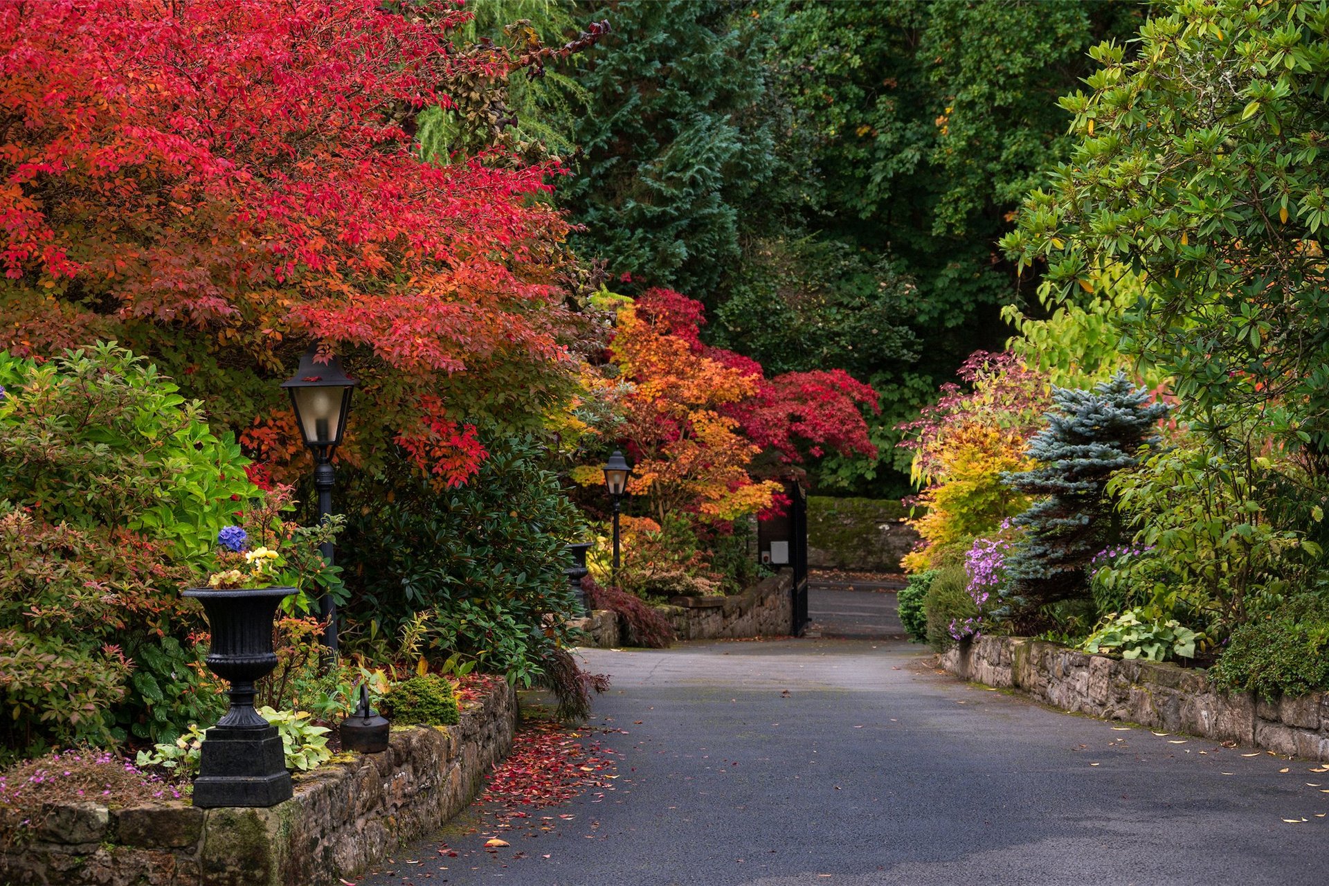 Cardrona, Glen Road, Dunblane, Stirlingshire, FK15 0DT - Picture #25