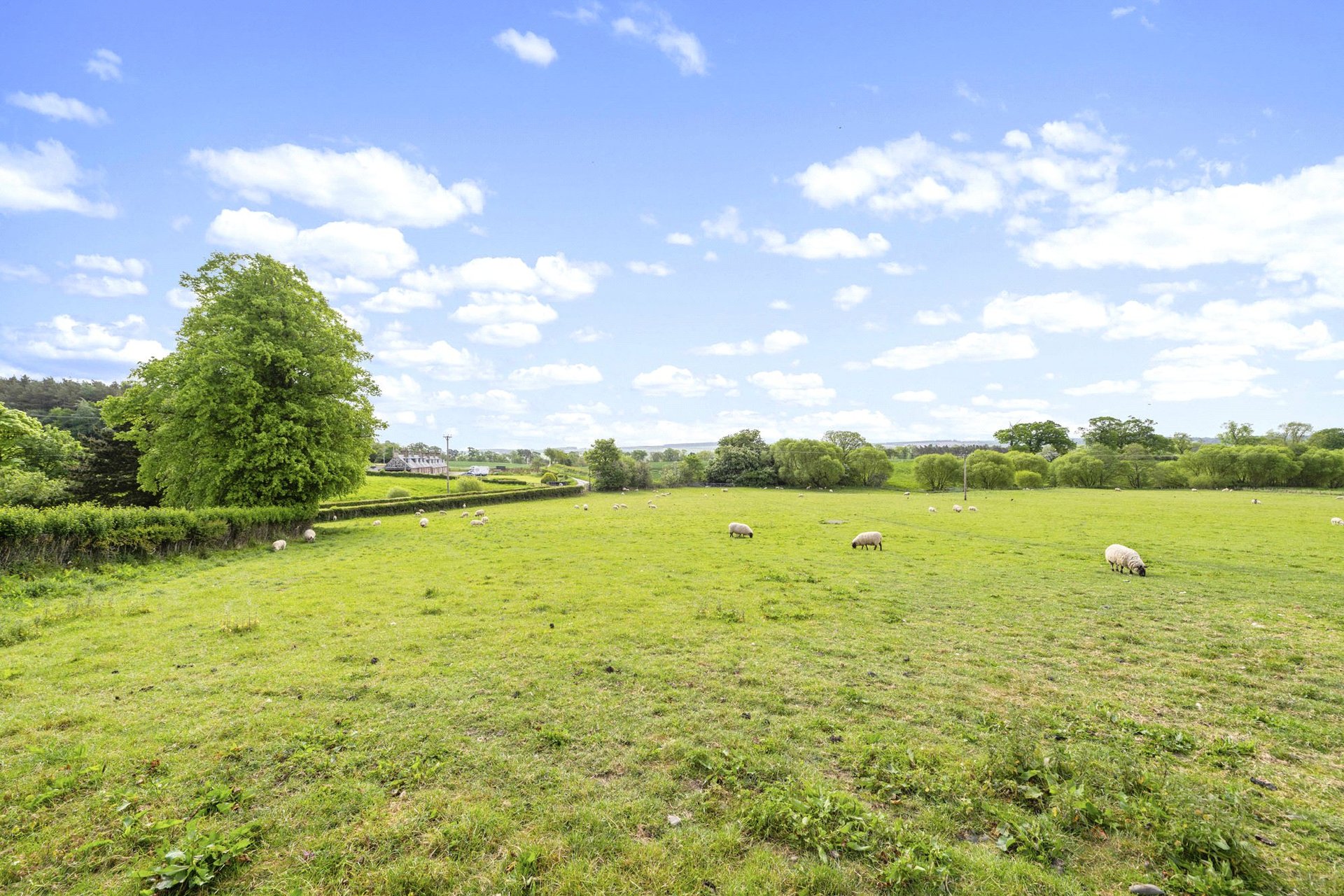 Maidenhall Farmhouse, St. Boswells, Melrose, Scottish Borders, TD6 0EF - Picture #31