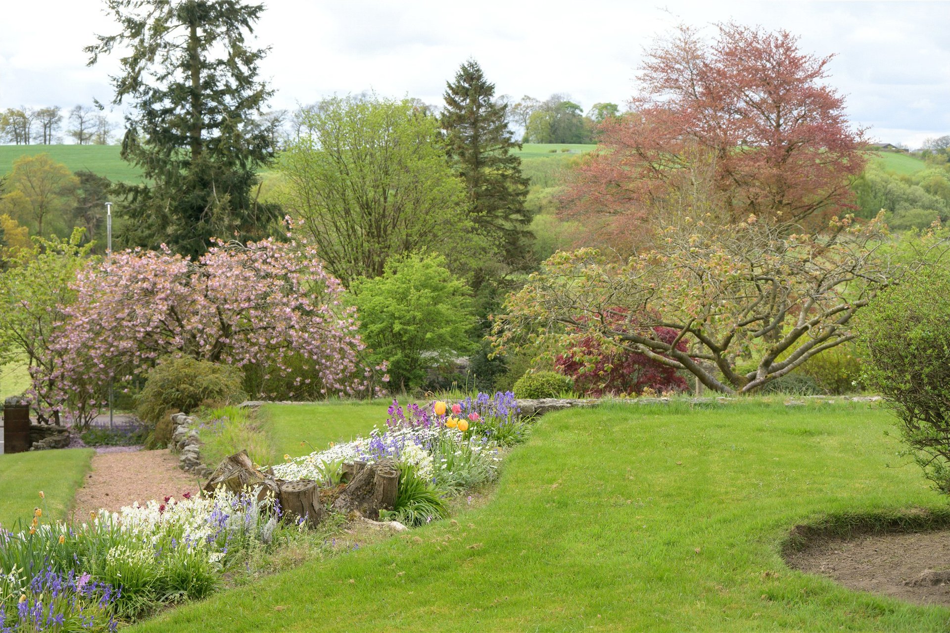 Hillcrest House, 54 Carnock Road, Dunfermline, Fife, KY12 9NT - Picture #14