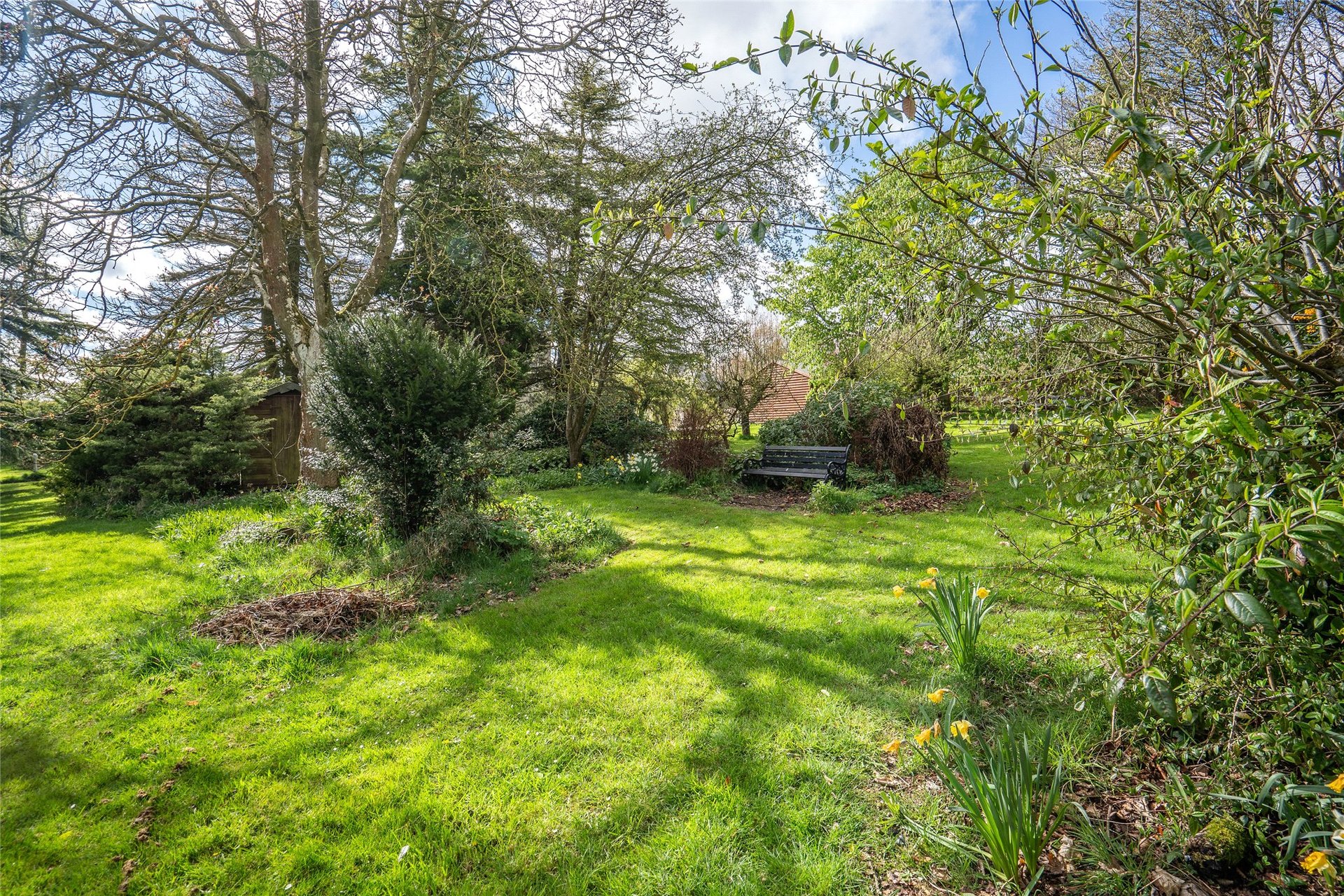 Hillside House, Cupar Road, Ceres, Cupar, Fife, KY15 5LP - Picture #16