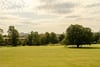 15(GF), Eildon Street, Inverleith, Edinburgh, EH3 5JU - Picture #13