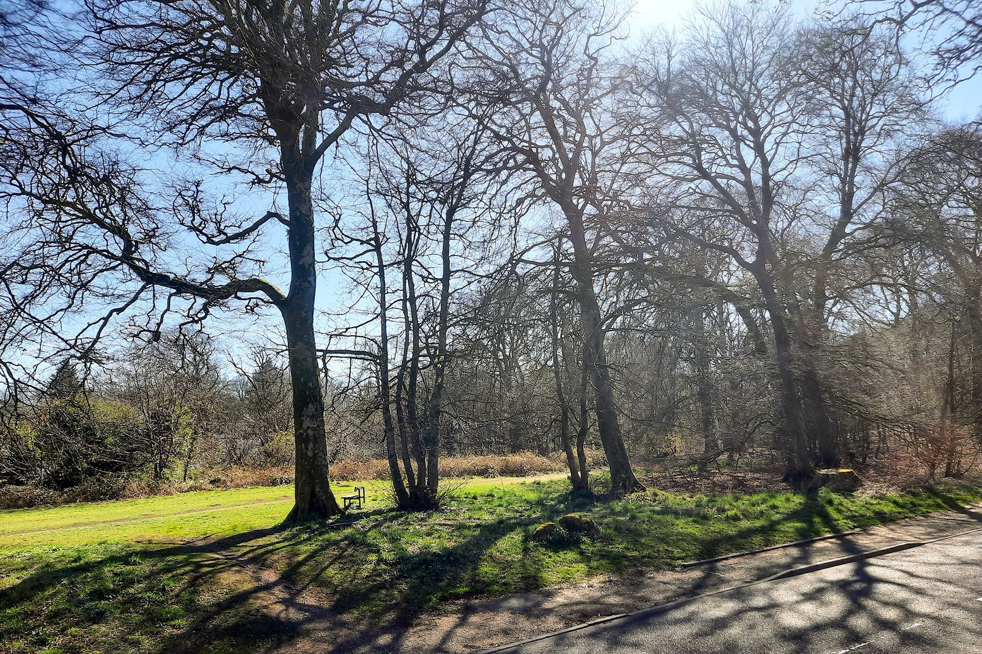 Quarry Cottage, 30C Polnoon Street, Eaglesham, East Renfrewshire, G76 0BG - Picture #20