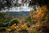 Ardchoile, Lochard Road, Aberfoyle, Stirling, Stirlingshire, FK8 3TD - Picture #2