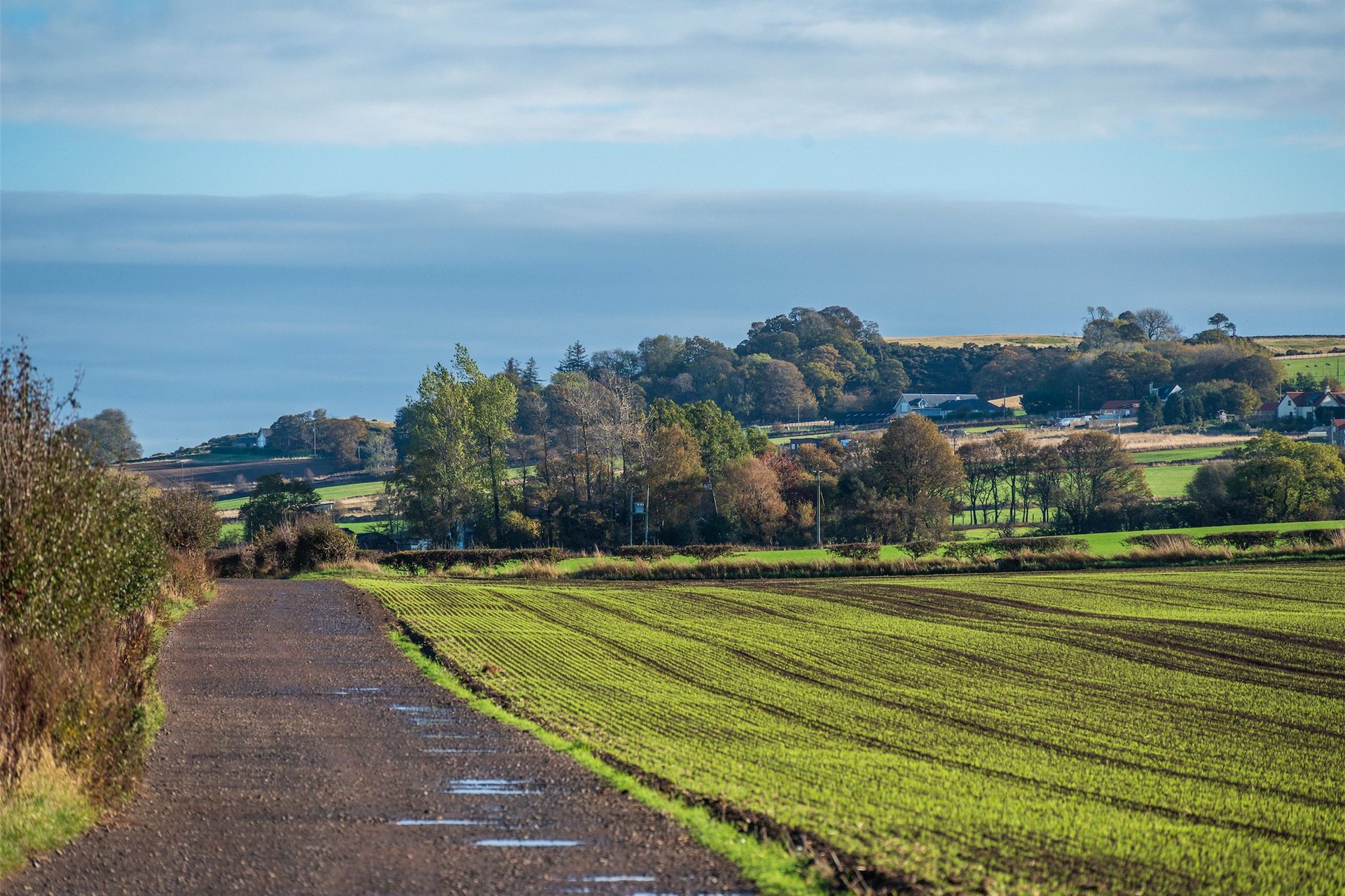 Glenarrol Farm, Ballencrieff, Longniddry, East Lothian, EH32 0PJ - Picture #31