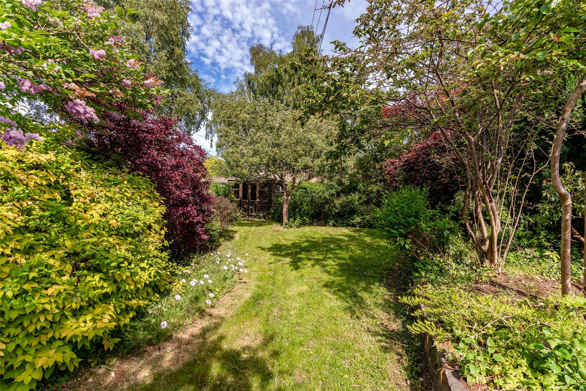 19 Morningside Road, Morningside, Edinburgh, EH10 4DP - Picture #5