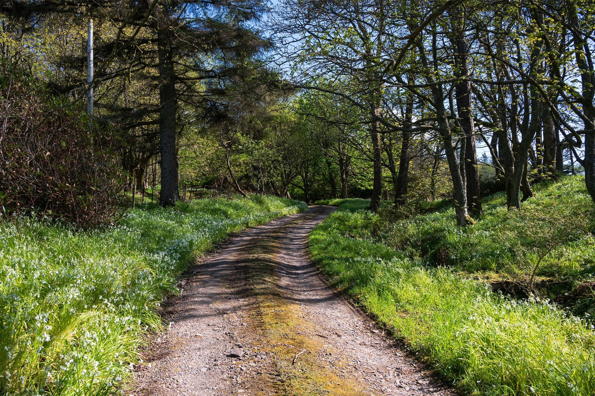 Glencreggan House, Glenbarr, Tarbert, Argyll, PA29 6UT - Picture #28