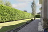 Rosemount, 14 Lethington Road, Giffnock, Glasgow, East Renfrewshire, G46 6TB - Picture #43