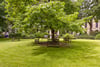Flat 2, 18 Belmont Crescent, Kelvinbridge, Glasgow, G12 8EU - Picture #38