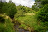 Dove Cottage, 3 Garvald Grange Cottages, Garvald, East Lothian, EH41 4LL - Picture #25