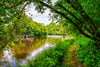 Mashock Cottage, Crossford, Carluke, South Lanarkshire, ML8 5NQ - Picture #56